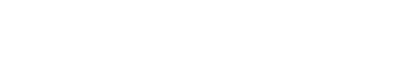 Bozzuto logo